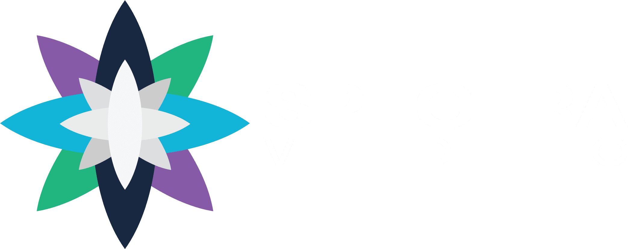 Spectra Video